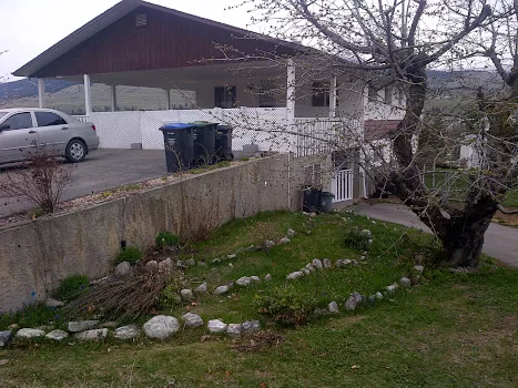 side view across small lawn to large house with covered deck and drive down suite visible with large old Cherry tree to the right
